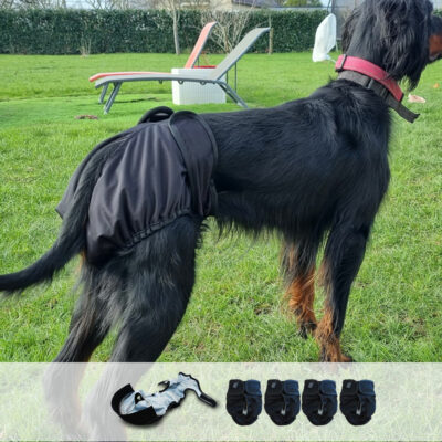 4 couches absorbantes lavables pour chien ou chat femelle (chaleurs)