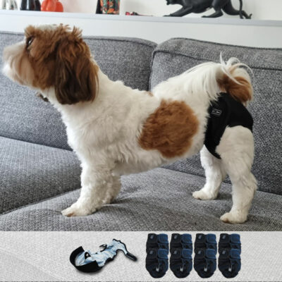 8 couches absorbantes lavables pour chien ou chat femelle (chaleurs)