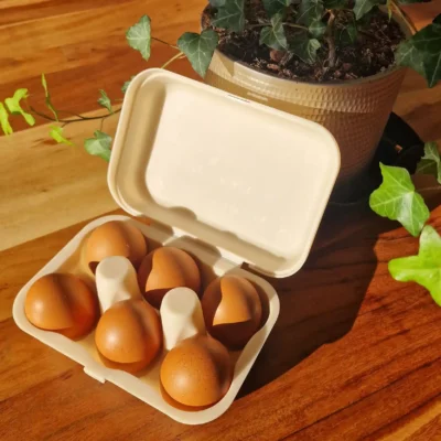 Boîte à 6 œufs – Ecodis