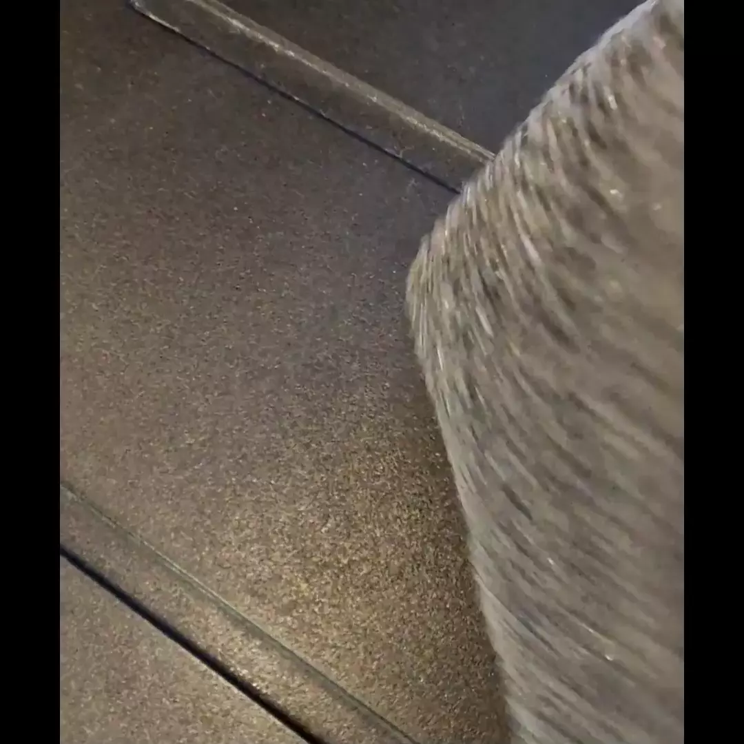 Éponge plate lavable grattante – Coloris à choisir