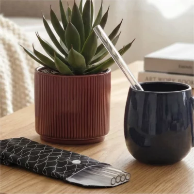 Lot de 4 pailles droites en verre + une pochette
