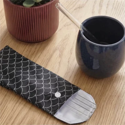 Lot de 4 pailles droites en verre + une pochette